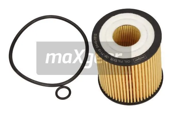 260893 Maxgear