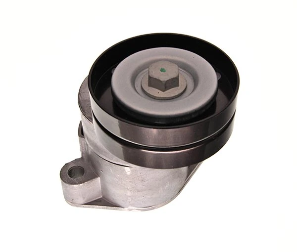 Do koszyka 90411025 General Motors Napinacz paska napędowego