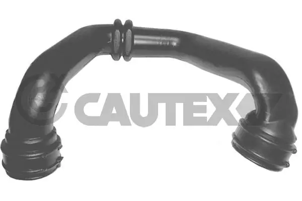 026830 Cautex