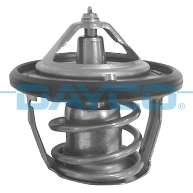 DT1213V Dayco