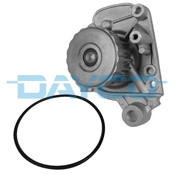 DP198 Dayco