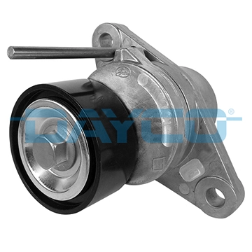 APV3097 Dayco