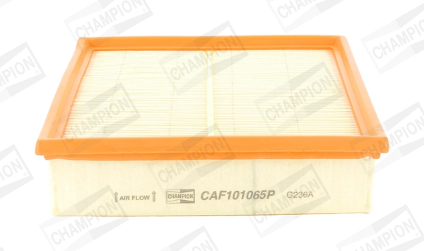 CAF101065P Champion