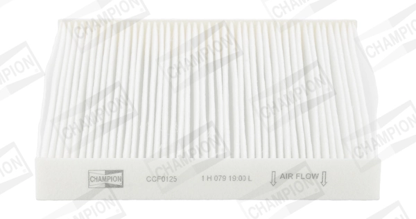 Do koszyka Filtr kabiny Honda Accord VII CL, CM