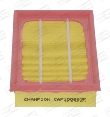 CAF100663P Champion
