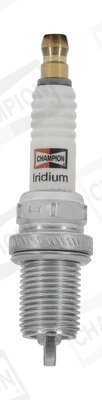 CCH9805 Champion