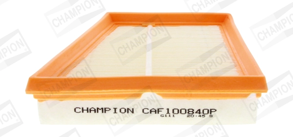 CAF100840P Champion