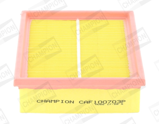 CAF100703P Champion
