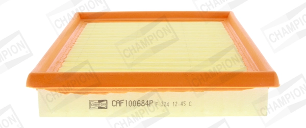 CAF100684P Champion