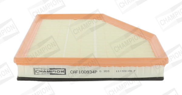 CAF100934P Champion