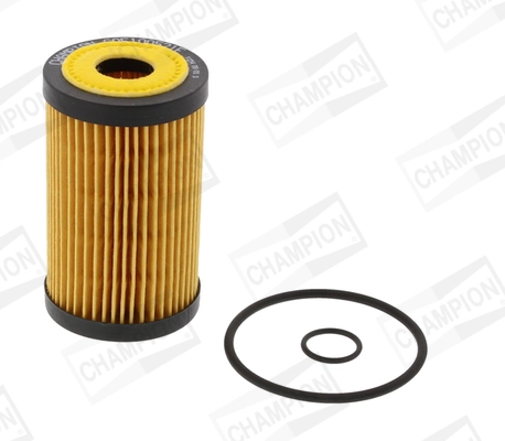 COF100521E Champion