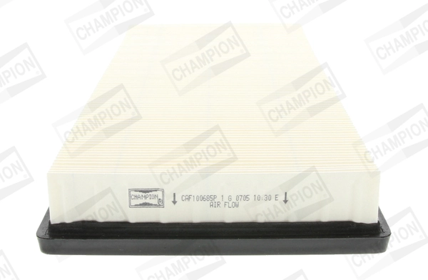 CAF100685P Champion