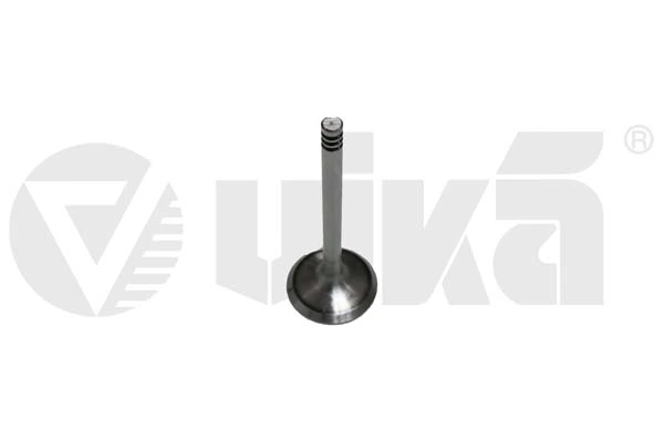 11090175401 Vika