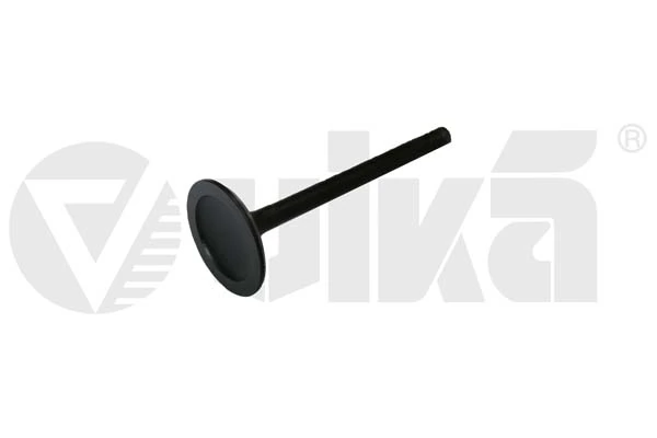 11090175801 Vika
