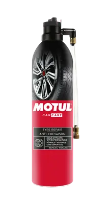 110142 Motul