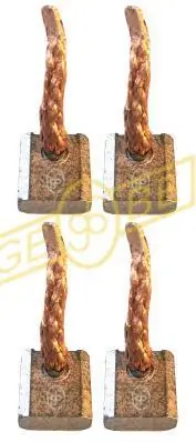 Szczotka rozrusznika Ford C-Max DM2