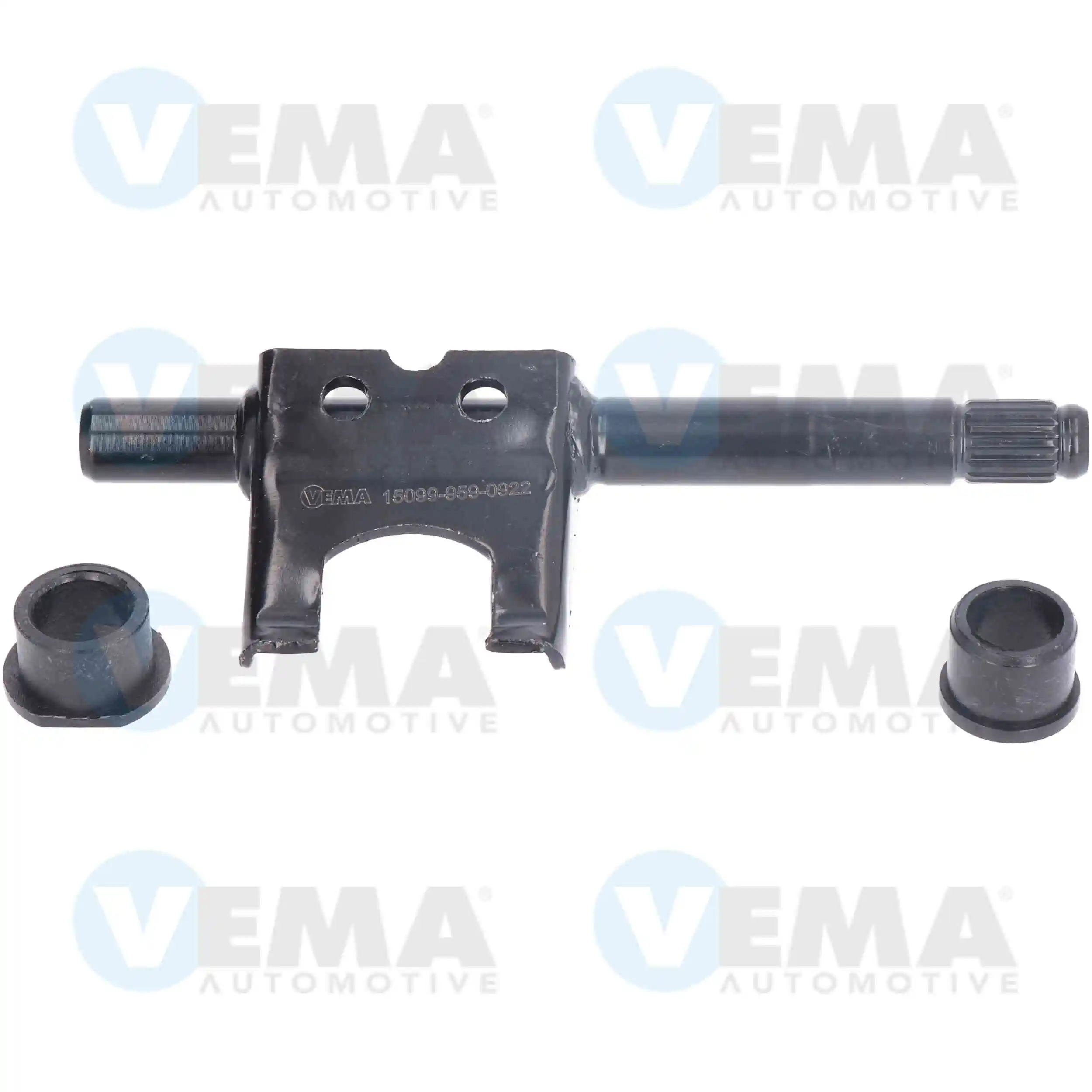 15099 Vema