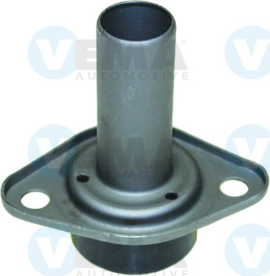 294002 Vema