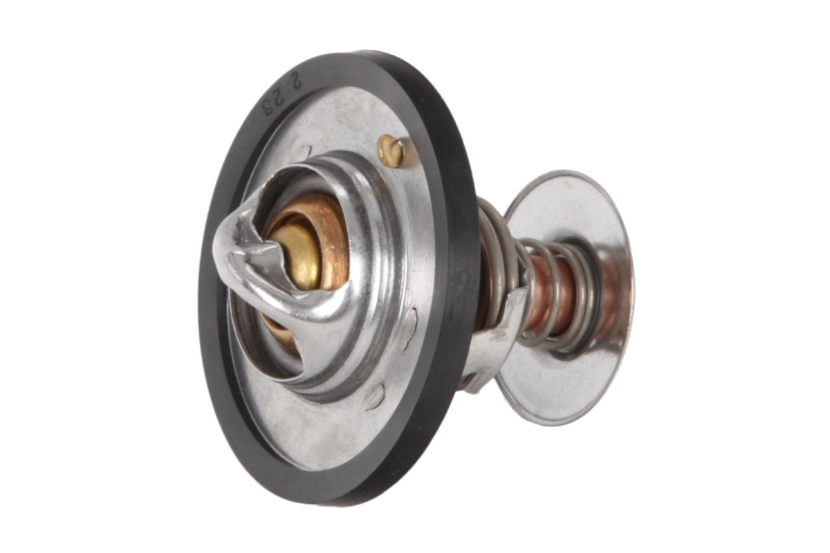  Termostat KIA Carnival 3