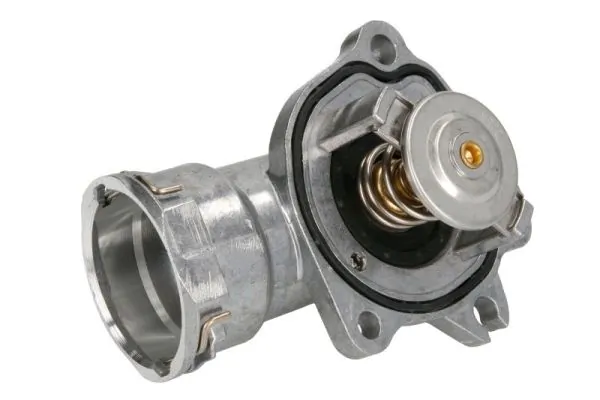 D2M011TT Thermotec Termostat