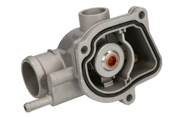D2M008TT Thermotec Termostat