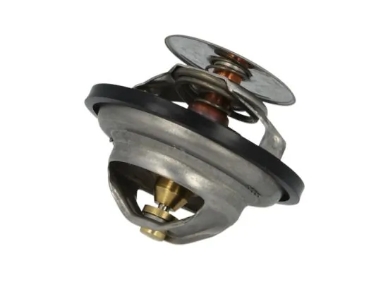 Termostat do BMW 3  E21