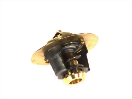 Termostat DAF 45