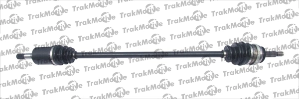 301262 Trakmotive/Surtrack