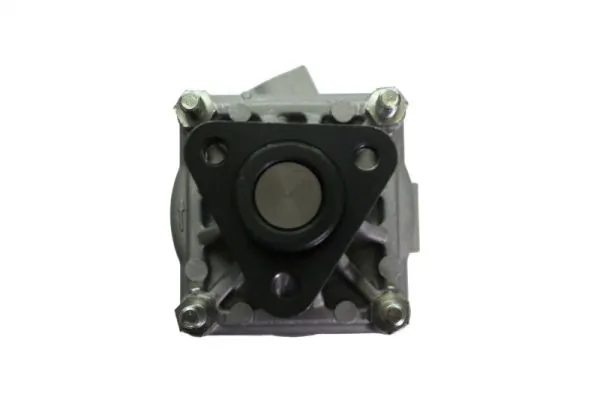 Do koszyka 550039 Lauber Pompa wspomagania hydraulicznego kierownicy