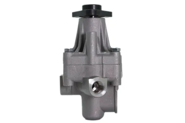 Pompa wspomagania hydraulicznego kierownicy VAG 8DO145156 cena, od 64,38 USD