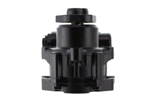 Do koszyka 559123 Lauber Pompa wspomagania hydraulicznego kierownicy