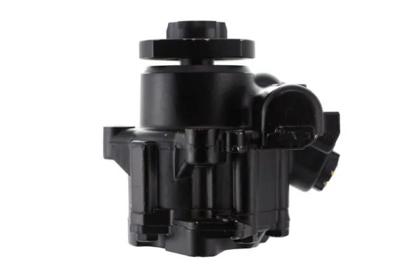 Pompa wspomagania hydraulicznego kierownicy 559123 Lauber