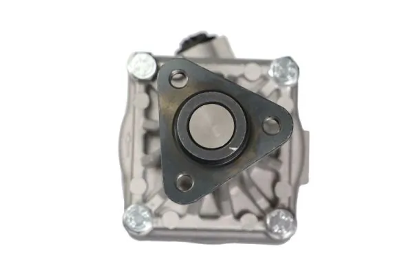 550618 Lauber Pompa wspomagania hydraulicznego kierownicy