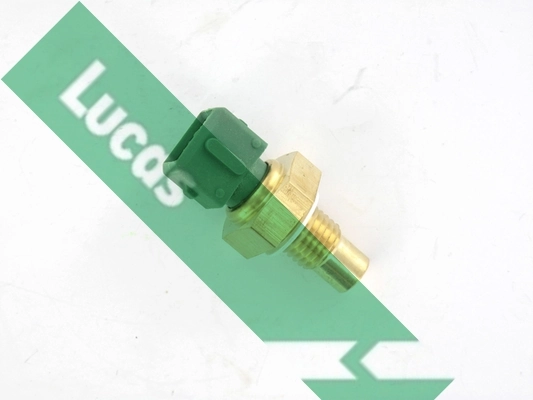 SNB813 Lucas
