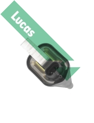 DMB968 Lucas
