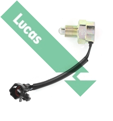 SMJ5047 Lucas