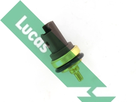 SNB5109 Lucas