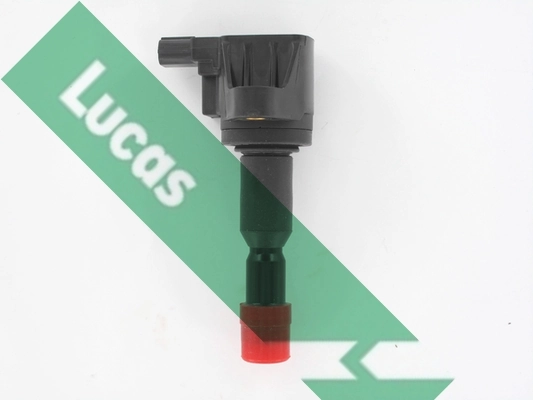 DMB5023 Lucas