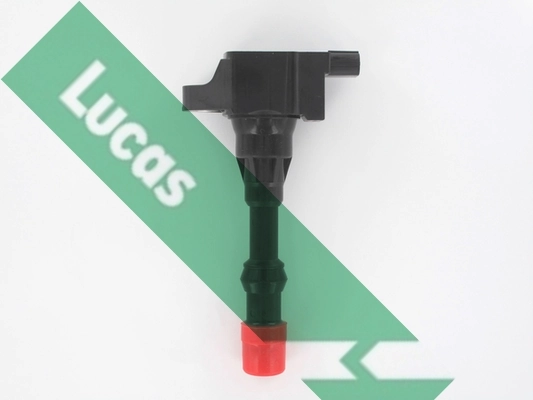 DMB1066 Lucas