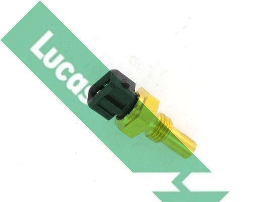 SNB808 Lucas