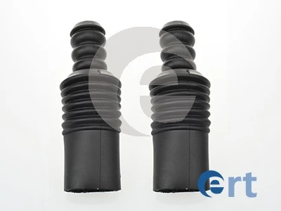 520096 ERT