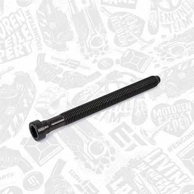 Uszczelka głowicy cylindrów Volkswagen Touran II minivan (1T3) (2010 - 2015) cena, od 50,85 USD