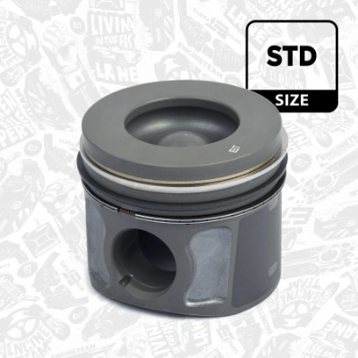 Tłok, komplet do jednego cylindru, STD Ford Transit 7 V363