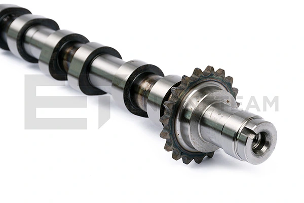 Do koszyka Wał rozrządu silnika ssący, dolotowy Citroen Berlingo  M