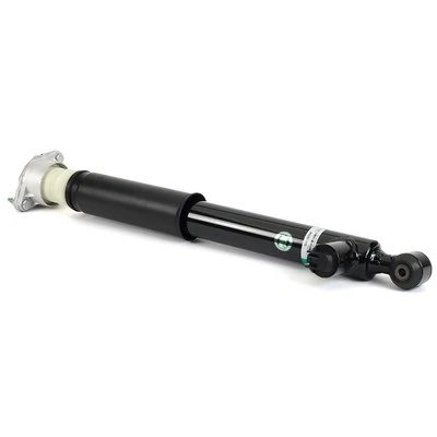 SK3059 Arnott Amortyzator tylny