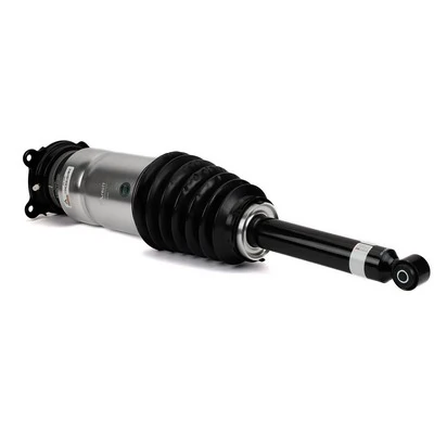 AS3381 Arnott Amortyzator tylny