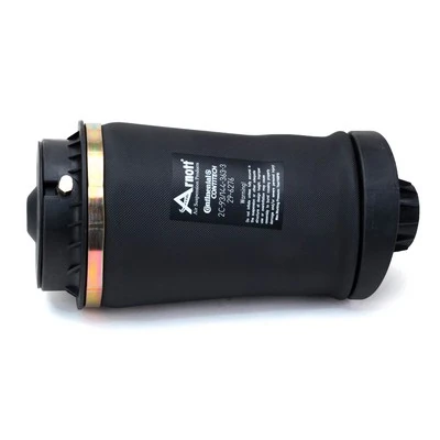 A2597 Arnott