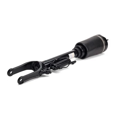 AS2450 Arnott Amortyzator przedni
