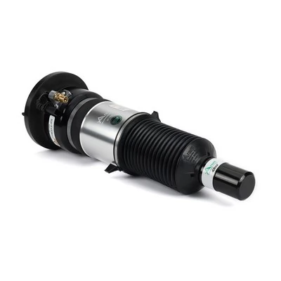 AS3309 Arnott Amortyzator przedni