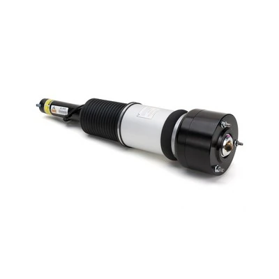 AS2605 Arnott Amortyzator przedni